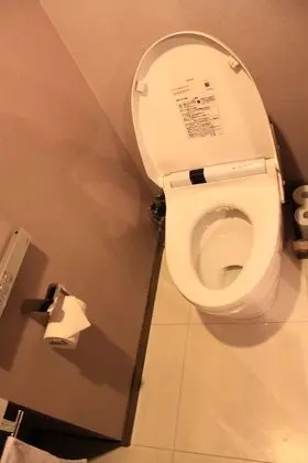 Süit, Sigara İçilebilir