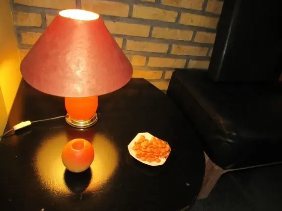 Oda, 1 Yatak Odası, Şömine