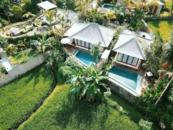Villa, 1 Yatak Odası, Kişiye Özel Havuzlu
