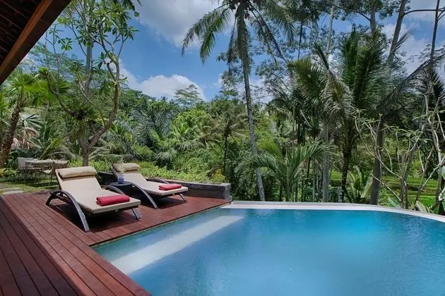 Luxury Villa