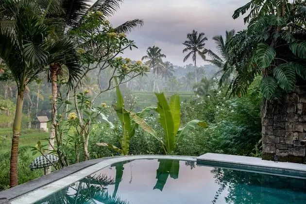 Luxury Villa