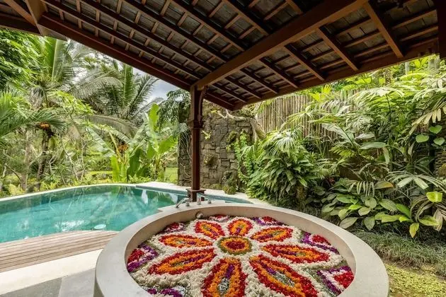 Luxury Villa