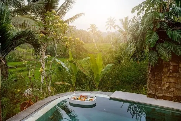 Luxury Villa