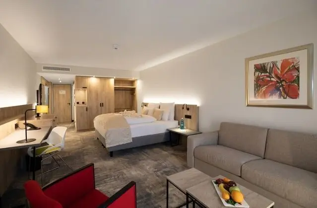 Deluxe Tek Büyük Yataklı Oda