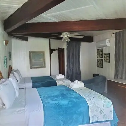 Deluxe Tek Büyük Yataklı Oda