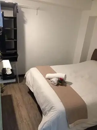 Deluxe Oda, 1 Büyük (Queen) Boy Yatak