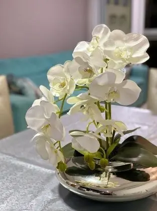 Honeymoon Apart Daire