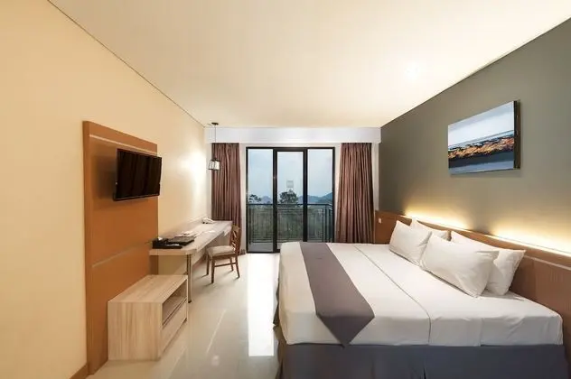 Deluxe Tek Büyük veya İki Ayrı Yataklı Oda