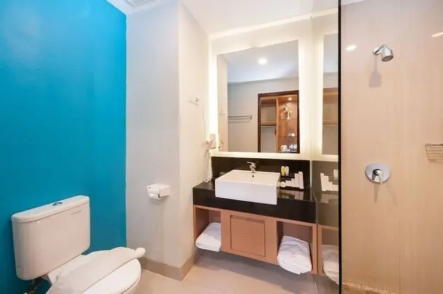 Deluxe Tek Büyük veya İki Ayrı Yataklı Oda