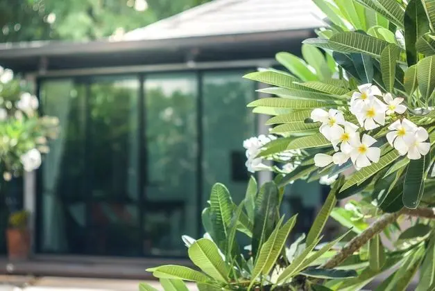 Deluxe Villa, 3 Yatak Odası, Havuz Manzaralı, Havuz Kenarı