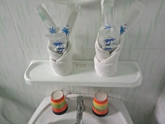 Superior Tek Büyük veya İki Ayrı Yataklı Oda
