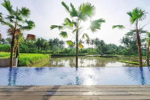 Villa, 1 Yatak Odası