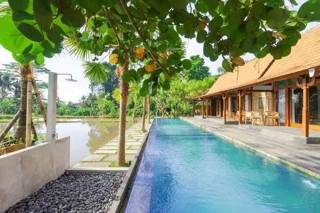 Villa, 1 Yatak Odası