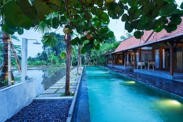 Villa, 1 Yatak Odası