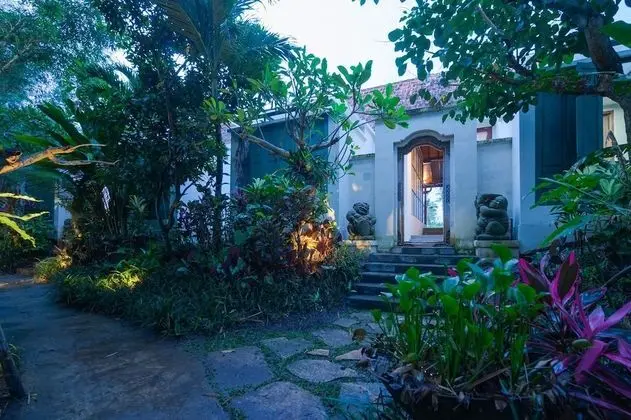 Villa, 1 Yatak Odası