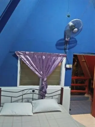 Standard Tek Büyük Yataklı Oda (With Fan)