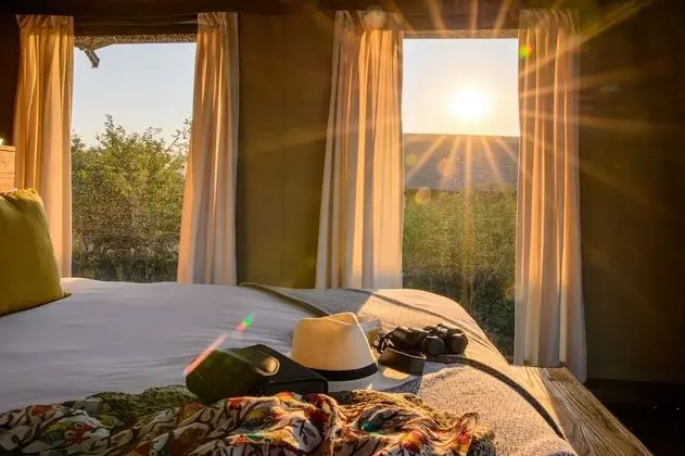 Luxury Çadır