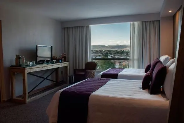 Junior Suite, Executive