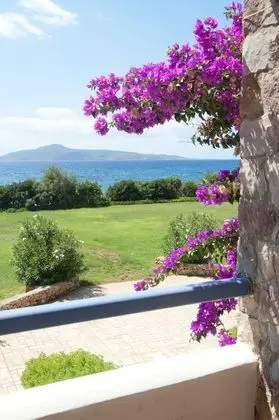 Family Villa, 2 Yatak Odası, Havuz Manzaralı