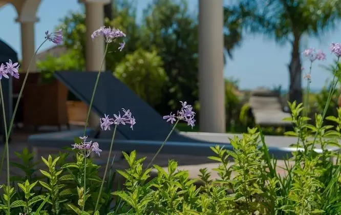 Villa, 4 Yatak Odası
