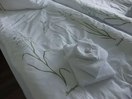 Tek Büyük veya İki Ayrı Yataklı Oda, Özel Banyo, Göl Manzaralı