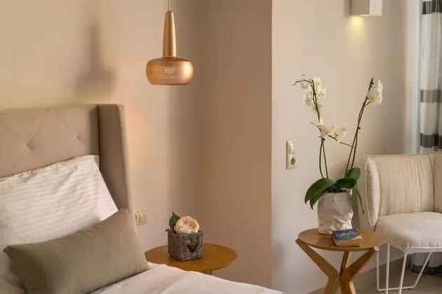 Superior Tek Büyük veya İki Ayrı Yataklı Oda, Havuz Manzaralı