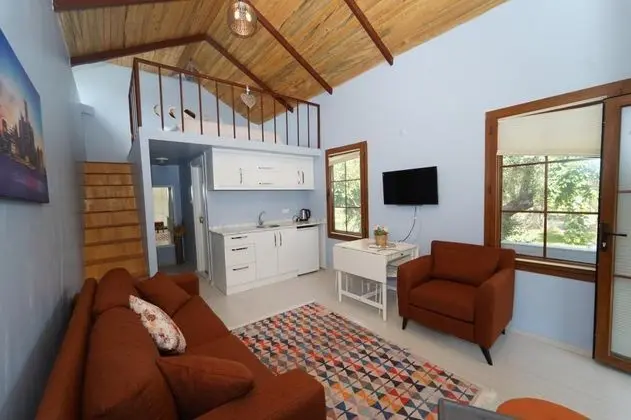 Tinyhouse, Dağ Manzaralı, Özel Bahçeli