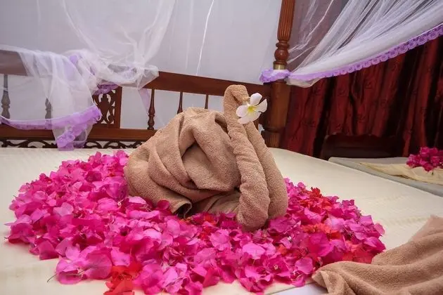 Luxury Süit, 1 Yatak Odası (with AC)