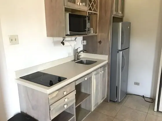 Oda, Bahçe Manzaralı (Kitchenette)