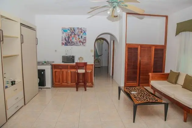 Oda, Bahçe Manzaralı (Kitchenette)