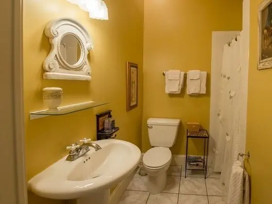 Superior Tek Büyük Yataklı Oda, Özel Banyo (Yellow room )