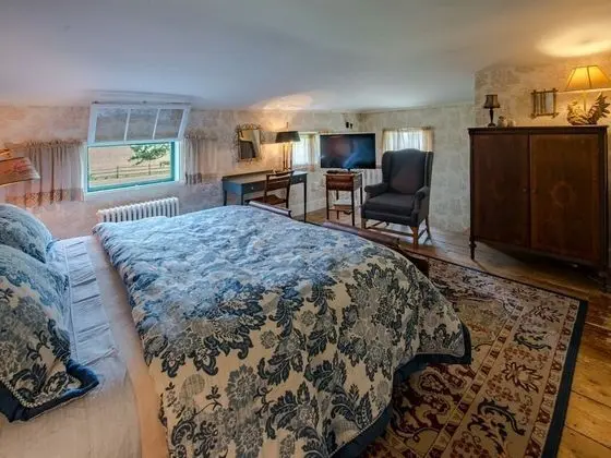 Tek Büyük Yataklı Oda, Özel Banyo (Blue room )