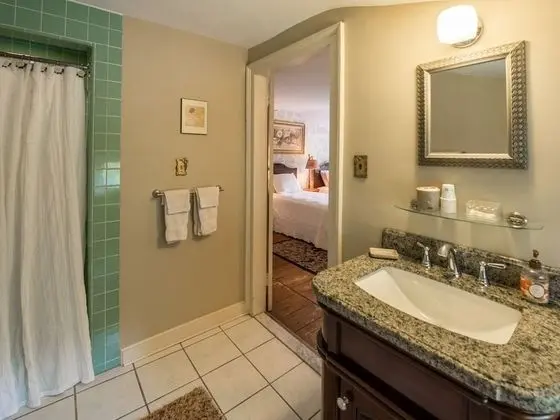 Tek Büyük Yataklı Oda, Özel Banyo (Blue room )
