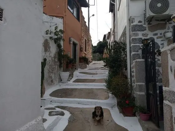 Ev, Birden Çok Yatak