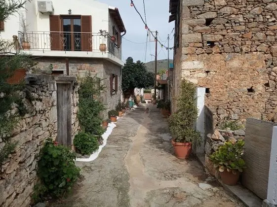 Ev, Birden Çok Yatak