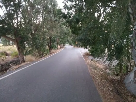Ev, Birden Çok Yatak