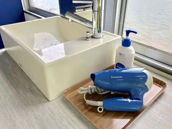 Economy Tek Büyük Yataklı Oda (Indigo)