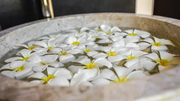 Exclusive Oda, Okyanus Manzaralı, Denize Sıfır