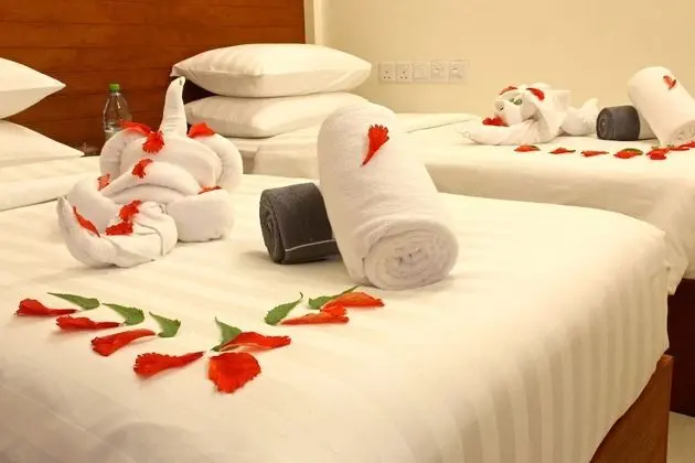 Deluxe Tek Büyük veya İki Ayrı Yataklı Oda, 1 Yatak Odası, Şehir Manzaralı