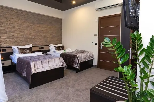 Standard İki Ayrı Yataklı Oda, Şehir Manzaralı