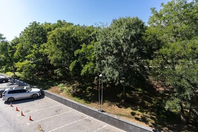 Standard İki Ayrı Yataklı Oda, Şehir Manzaralı