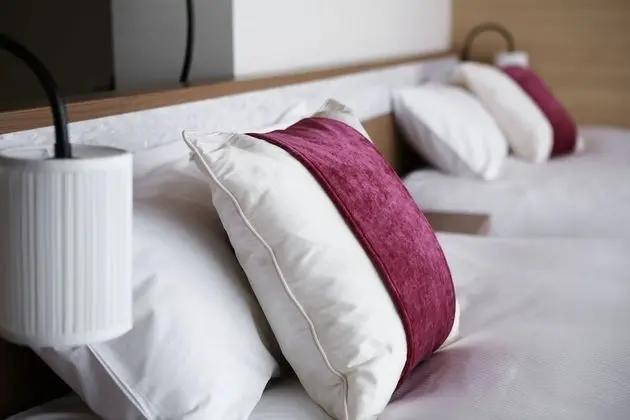 Deluxe Oda, Sigara İçilmez (2 Beds + 1 Extra Bed)