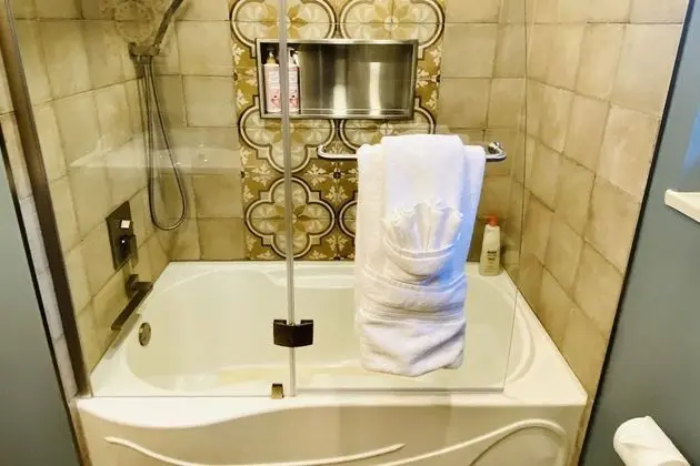Deluxe Oda, 1 Çift Kişilik Yatak