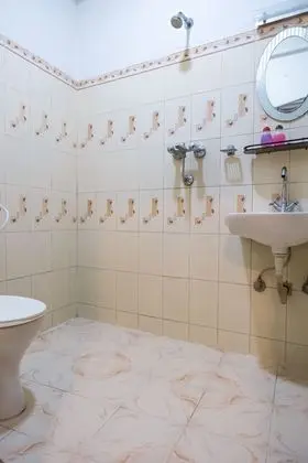 Standard Tek Büyük Yataklı Oda, 1 Çift Kişilik Yatak, Özel Banyo