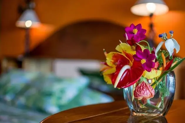 Casitas del Hotel Nepenthe