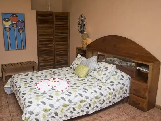 Superior Tek Büyük Yataklı Oda, 1 Büyük (Queen) Boy Yatak, Özel Banyo