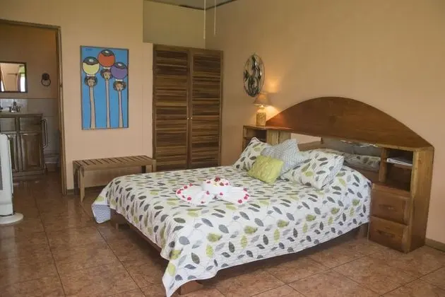 Superior Tek Büyük Yataklı Oda, 1 Büyük (Queen) Boy Yatak, Özel Banyo