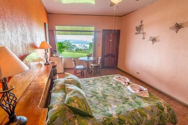 Superior Tek Büyük Yataklı Oda, 1 Büyük (Queen) Boy Yatak, Özel Banyo