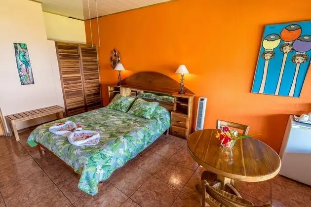 Superior Tek Büyük Yataklı Oda, 1 Büyük (Queen) Boy Yatak, Özel Banyo