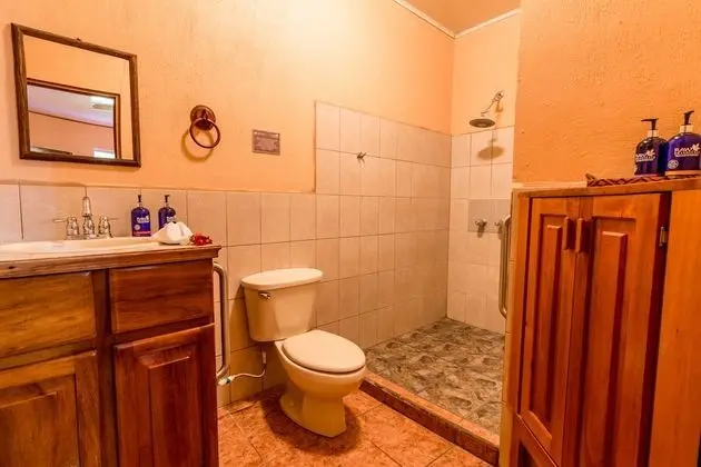 Superior Tek Büyük Yataklı Oda, 1 Büyük (Queen) Boy Yatak, Özel Banyo